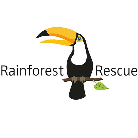 Greenpeace Afrique Et Rainforest Rescue Déclaration Commune Suite à La