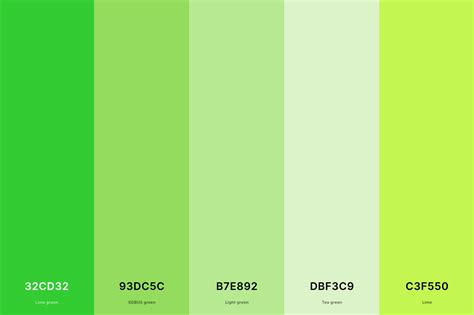 35 Best Green Color Palettes With Names And Hex Codes 2023