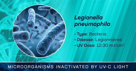 Legionella Pneumophila Is Inactivated By Germicidal Uv C Light