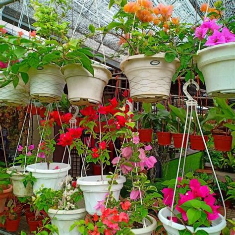Cara membuat pot bunga dari botol bekas. Pokok bunga kertas gantung | Shopee Malaysia