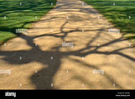 Tree Casting Shadow Hi Res Stock Photography And Images Alamy