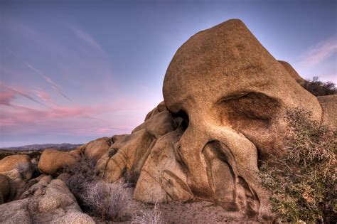 Plan Your Trip To Joshua Tree National Park Roadtrippers