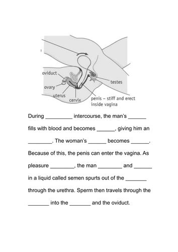 Differentiated Reproductive Organs And Sexual Intercourse Task Teaching Resources