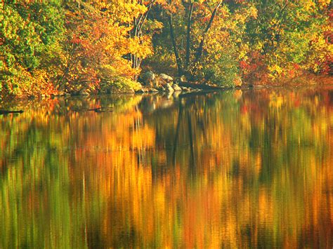 壁纸 阳光 树木 景观 森林 秋季 树叶 湖 水 性质 红 反射 科 晚间 早上 季节 镜子 池塘 银行