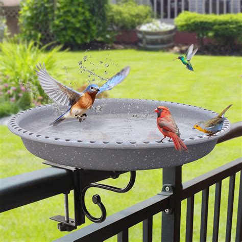 Best Bluejay Bird Baths For Your Garden Hummingbirds Plus