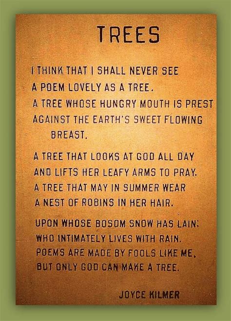 Joyce Kilmer Trees Poem