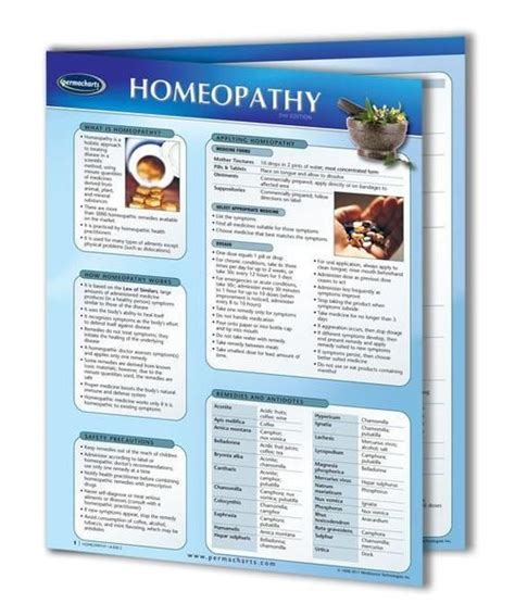 Homeopathy Holistic Health Quick Reference Guide Homeopathy