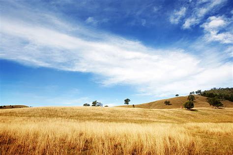 Dry Landscape Stock Photos Pictures And Royalty Free Images Istock