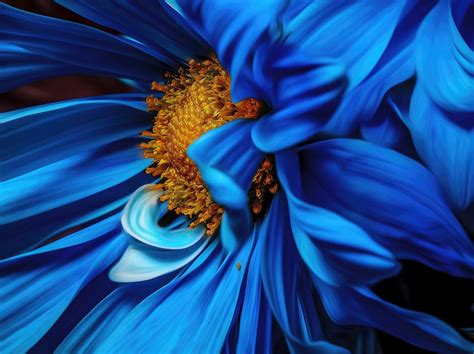 26 Flower Photography Tips Creative Flower Bouquet And Macro