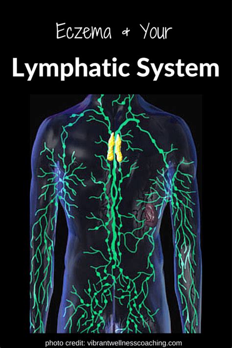 Taking Out The Trash 4 Ways To Drain Your Lymphatic System