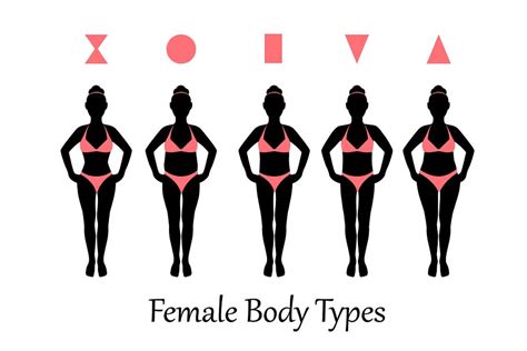 Woman Body Shape Female Body Types 5 Basic Forms Leosystemnews