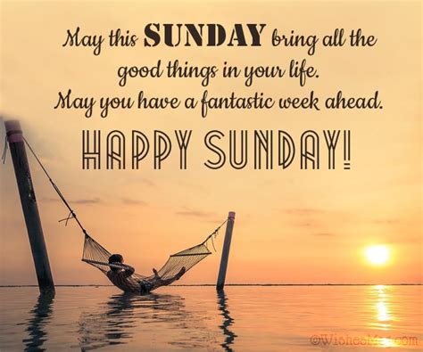 100 Happy Sunday Wishes Messages And Quotes Artofit