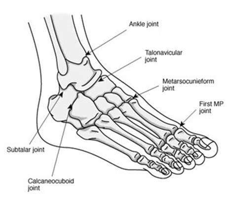 The Foot And Rheumatoid Arthritis Nras