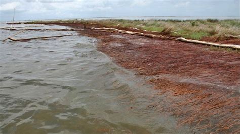 Nasa Survey Discovers Extensive Coastal Erosion From Gulf Oil Spill Clarksville Online