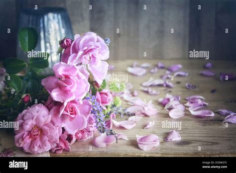 Still Life With Roses Stock Photo Alamy