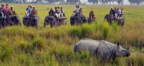 Kaziranga National Park In List Of Indias 10 Iconic Places