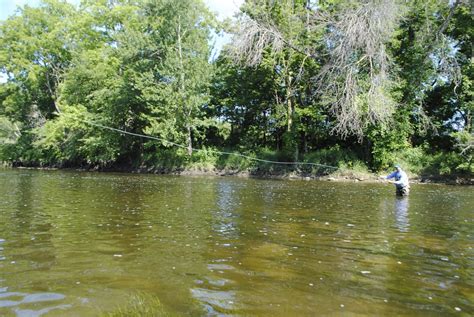 Fly Fishing The Flint River For Michigan Smallmouths Outdoorhub