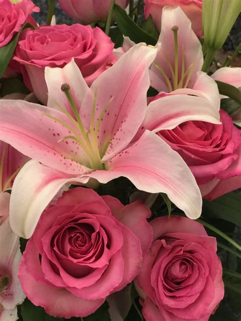 Stargazer Lilies With A Dozen Pink Roses In Fort Lauderdale Fl