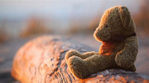 Teddy Bear Sad Alone 1080p Full Hd Wallpaper Lonely Teddy Bear