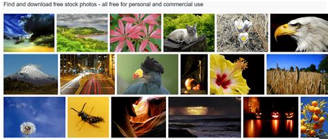 10 Best Royalty Free Stock Photo Websites To Download Copyright Free Images