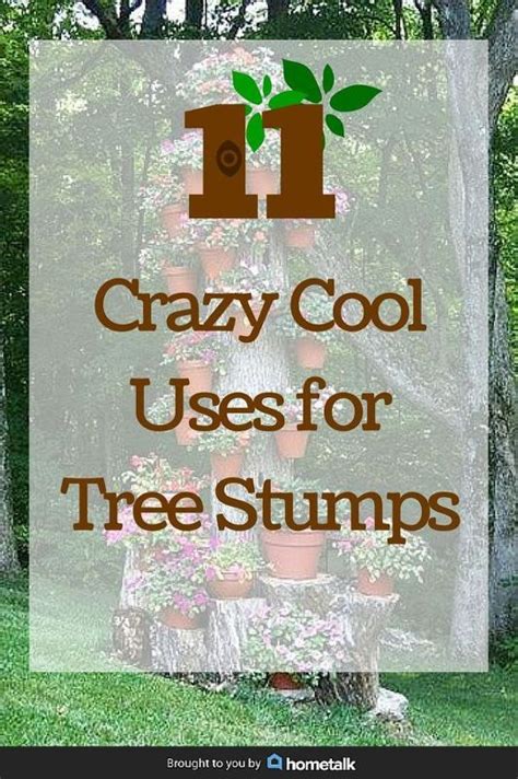 11 Pictures Of Crazy Cool Uses For Tree Stumps Tree Stump Decor Tree