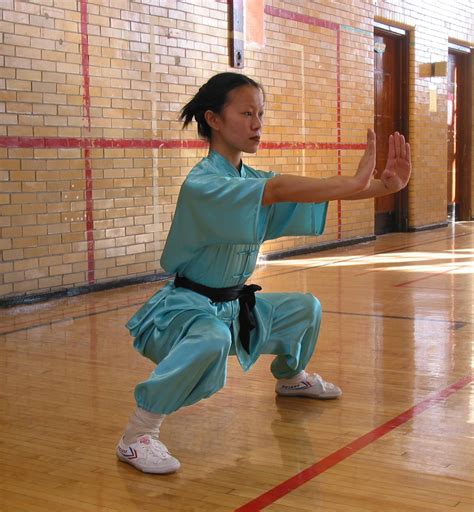 American Wu Shu Society Martial Arts Women Martial Arts Shaolin Kung Fu