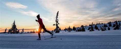 Classic Skating Backcountry Cross Country Skiing Styles Explained
