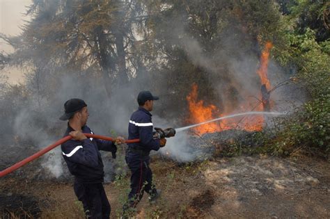 Pour limiter le nombre de feux de forêt en algérie pendant la saison estivale, les autorités ont lancé plusieurs opérations de prévention. Feux de forêt à Alger : Trois foyers d'incendie ...