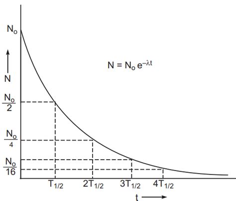 State The Law Of Radioactive Decay Plot A Graph Showing The Number N