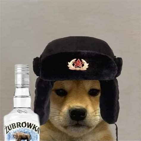 Собачка Россиянин In 2021 Dog Icon Dog Memes Dog Images