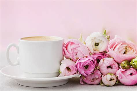 Good Morning Pink Ranunculus Coffee Flower Cup Morning White