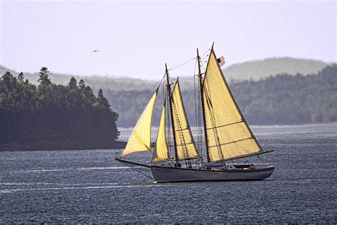 Schooner American Eagle At Full Sail Photograph By Marty Saccone Fine
