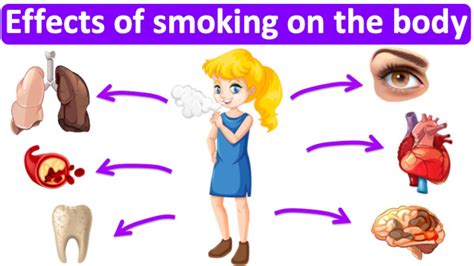 What Are The Effects Of Smoking On The Body Easy Science Lesson