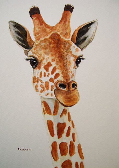 Giraffe Portrait In Watercolour Giraffe Painting Giraffe Drawing