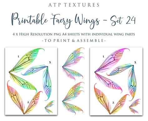 Printable Fairy Wings Set 24 Scrapbooking Clipart Digital Etsy