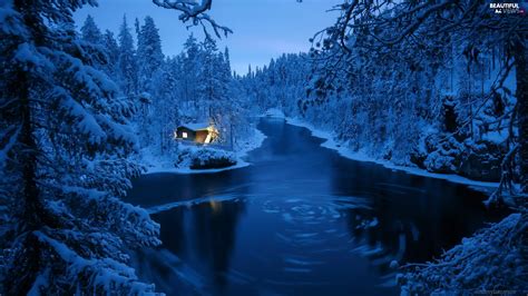 Trees Forest Winter River Viewes Snowy Beautiful Views