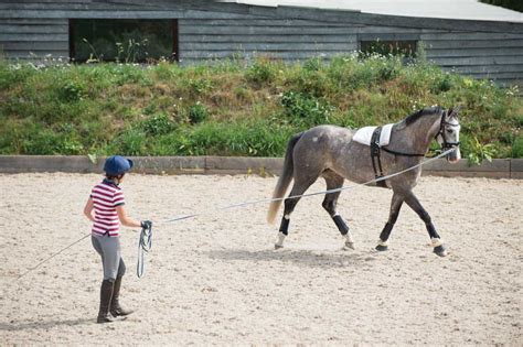 We did not find results for: Lungeing explained | How to lunge your horse | Horse and ...