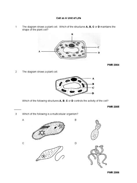 Sains Tingkatan 2 Bab 3 Sains Tingkatan 1 Bab 2 Human Body Cell