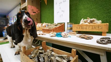 These Dogs Enjoying Their Very Own Food Hall Will Cheer You Right Up