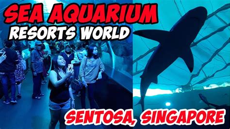 Sea Aquarium Resorts World Sentosa Singapore Youtube