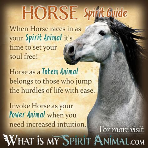 Horse Spirit Totem Power Animal Symbolism Meaning 1200x1200 Spirit