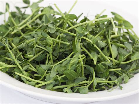 How To Grow Pea Shoots And Tendrils