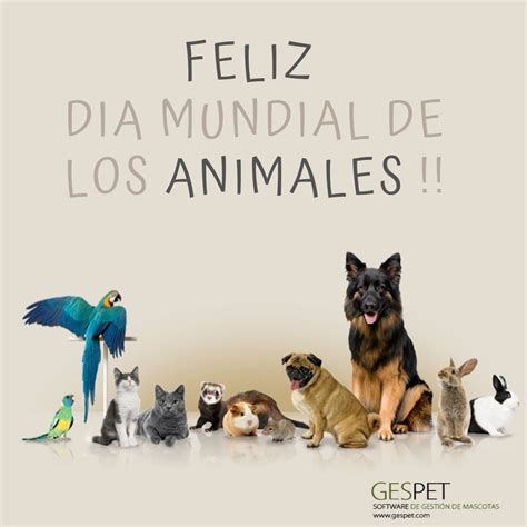 Feliz Día Mundial De Los Animales 🐶🐱🐰🐮 🐷🐴 🐝 🐢🐄 🐖🐿