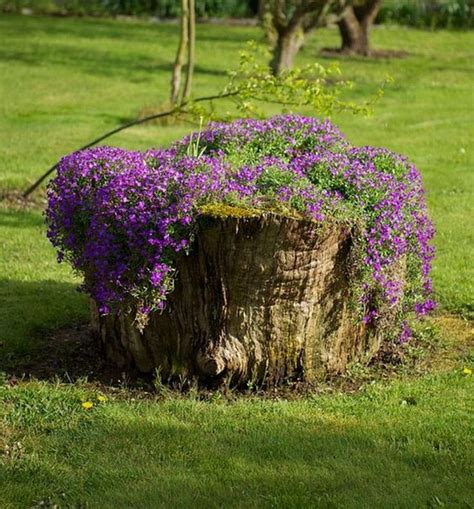 How To Turn A Tree Stump Into A Beautiful Planter The Garden Tree