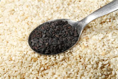 White And Black Sesame Seeds Stock Image Image Of Seasoning Health