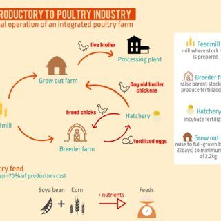 The property industry in malaysia very competitive. (PDF) The Poultry Industry and Its Supply Chain in ...