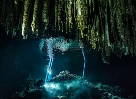 Cenote Diving In Yucatan Mexico Scuba Diving Website For