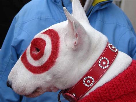Target Keeps Bullseyes Life Very Secretive Business Insider