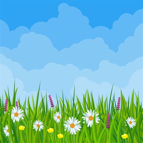 Premium Vector Spring Meadow Flowers In Flat Design Illustration