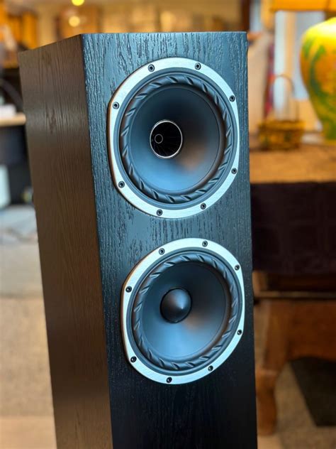 Enceintes Fyne Audio F501 Black Oak Neuves Hifi Espace Cinéma